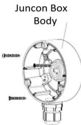 Juncon Box Body