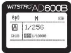 WITSTRO AD600B (φ) M A 1/256 CH39 1/10000