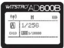 WITSTRO AD600B (φ) H A 1/256 CHD 圆圈 1/8000