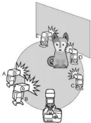 Diagram showing a dog surrounded by six camera cameras labeled A through E, with a central cat and explosion effect.