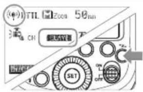 (●) TIL 50mm 50mm CH SET ON ON