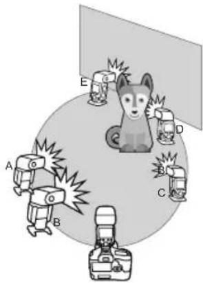 Diagram showing a dog surrounded by six labeled objects (A–E) with corresponding icons, likely illustrating a camera or lighting experiment setup.