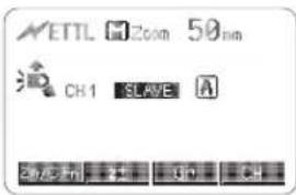 NETTL Zoom 50nm CH1 SLAVE A Control buttons ON CH