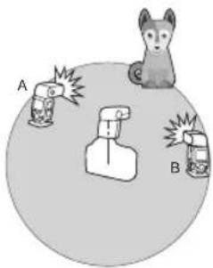 A B