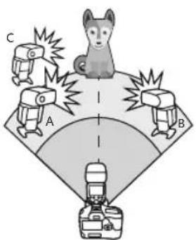 Diagram showing a cat standing on a platform with three labeled objects (A, B, C) and a camera below, likely illustrating a camera setup or safety scenario.