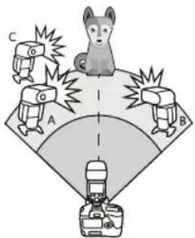 Diagram showing a dog on a platform with four labeled objects (A, B, C) and a camera below, likely illustrating a camera setup or safety scenario.