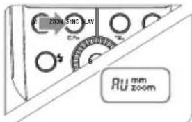 200 MHz LAV Ru mm Zoom