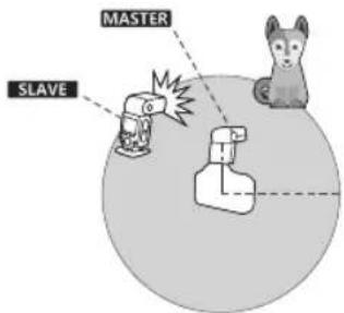 MASTER SLAVE