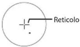 Reticolo