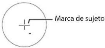 Marca de sujeto