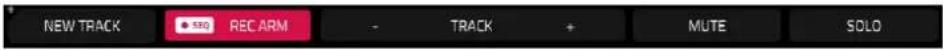 NEW TRACK REC ARM TRACK MUTE SOLO
