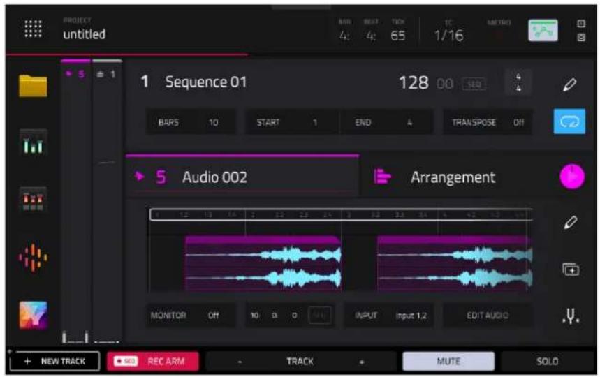 PROJECT untitled BAR BEAT TICK 1/16 4: 4: 65 128 00 BARS 10 START 1 END 4 TRANSPOSE OFF 5 Audio 002 Arrangement MONITOR OFF 10 0 0 INPUT INPUT 1.2 EDIT AUDIO + NEW TRACK REC ARM - TRACK MUTE SOLO