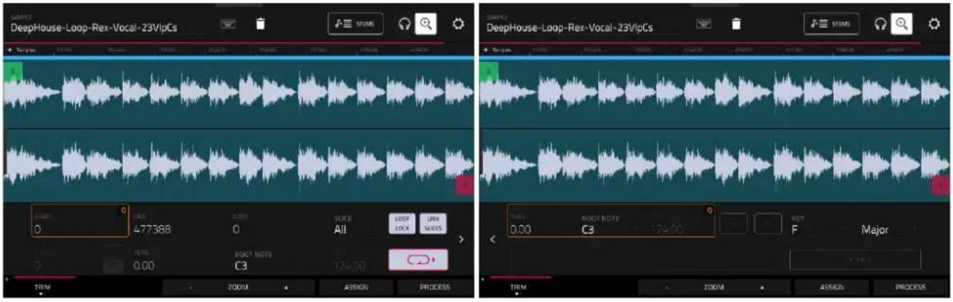 DeepHouse-Loop-Rex-Vocal-23VipCs START C 0 477388 0 SUCF All BOOT LOCK LINK SUDES BOOT NOTE C3 124.00 START C BOOT NOTE 0.00 C3 KEY F Major TRIM ZOOM ASSIGN PROCESS
