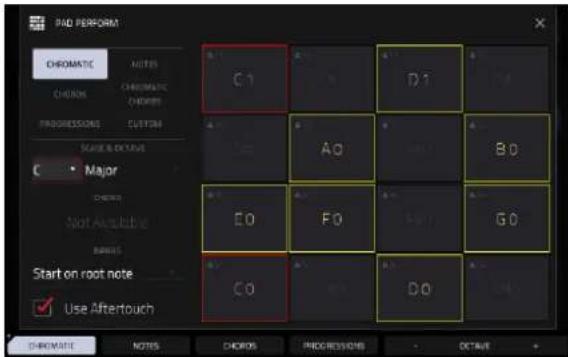 PAD PERFORM CHROMATIC NOTES CHROMS CHROMATIC CHROMS PROGRESSORS CUSTOM CHANGE & DETAIL C Major Start Available BANES Start on root note Use Aftertouch C1 D1 A0 B0 E0 F0 G0 C0 D0 CHANGE NOTES CHROMS PROGRESSORS OCTAVE