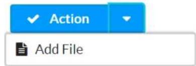 Action Add File