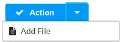 Action Add File