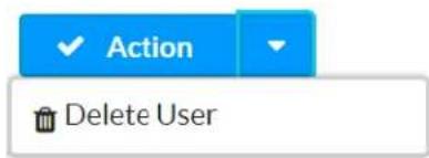 Action Delete User