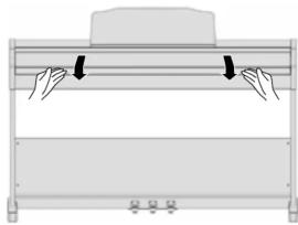 ROLAND RP-102 - Luk klaverlåget - 1