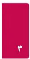 LG XBOOM OK99 - WIRELESS TOUSIP PARTY LINK - 3