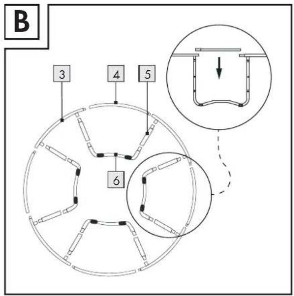 B 3 4 5 6