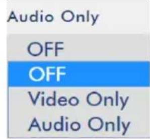 DataVideo NVS-33 - Stream and Record Settings - 14