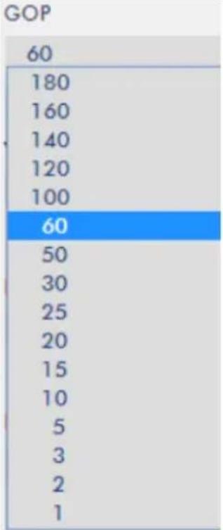 DataVideo NVS-33 - Stream and Record Settings - 15
