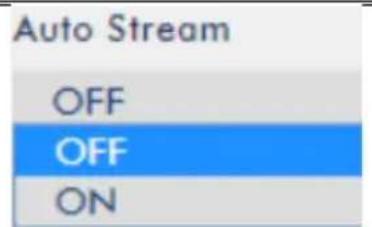 DataVideo NVS-33 - Stream and Record Settings - 4