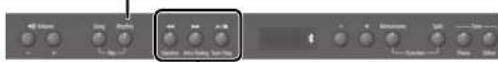 ROLAND RP501R - Orkesterakcompagnement (Rhythm) der styres af dine akkorder - 2