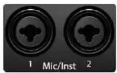 PRESONUS Quantum 2626 - Tilslutning - 1