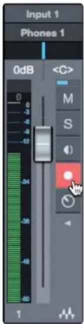 PRESONUS Quantum 2626 - Indstikning - 3