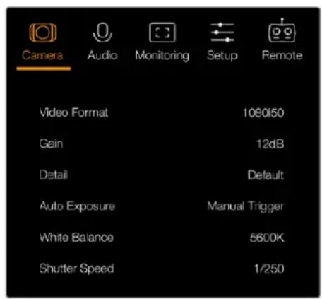 Camera Audio Monitoring Setup Remote Video Format 1080/50 Gain 12dB Detail Default Auto Exposure Manual Trigger White Balance 5600K Shutter Speed 1/250