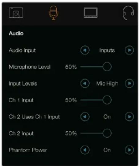 Audio Audio Input Inputs Microphone Level 50% Mic High Input Levels Ch 1 Input 50% On Ch 2 Uses Ch 1 Input Ch 2 Input 50% On Phantom Power