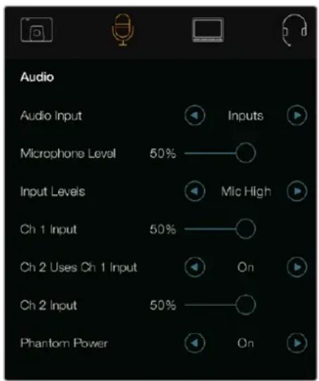 Audio Audio Input Microphone Level 50% Input Levels Ch 1 Input 50% Ch 2 Uses Ch 1 Input Ch 2 Input 50% Phantom Power Inputs Mic High On On