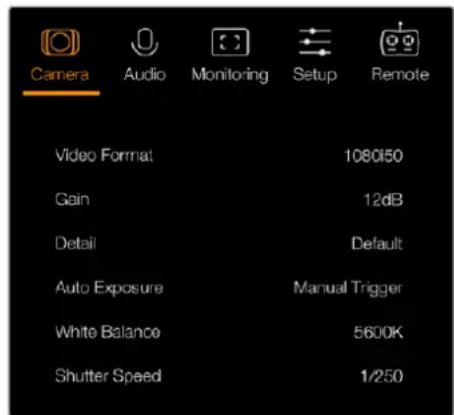 Camera Audio Monitoring Setup Remote Video Format 1080150 Gain 12dB Detail Default Auto Exposure Manual Trigger White Balance 5600K Shutter Speed 1/250