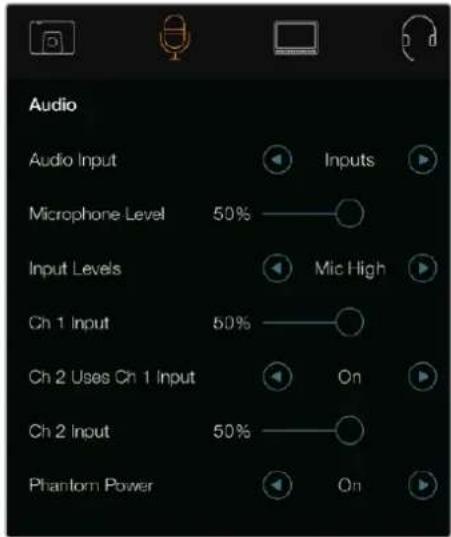Audio Audio Input Inputs Microphone Level 50% Mic High Input Levels Ch 1 Input 50% On Ch 2 Uses Ch 1 Input Ch 2 Input 50% On Phantom Power