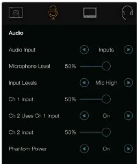 Audio Audio Input Microphone Level 50% Input Levels Ch 1 Input 50% Ch 2 Uses Ch 1 Input Ch 2 Input 50% Phantom Power Inputs Mic High On On