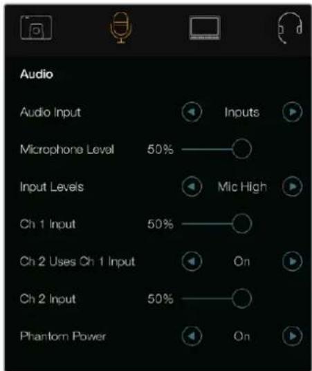 Audio Audio Input Microphone Level 50% Input Levels Ch 1 Input 50% Ch 2 Uses Ch 1 Input Ch 2 Input 50% Phantom Power Inputs Mic High On On