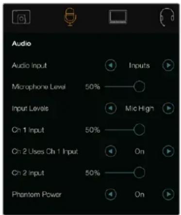 Audio Audio Input Microphone Level 50% Input Levels Ch 1 Input 50% Ch 2 Uses Ch 1 Input On Ch 2 Input 50% Phantom Power On