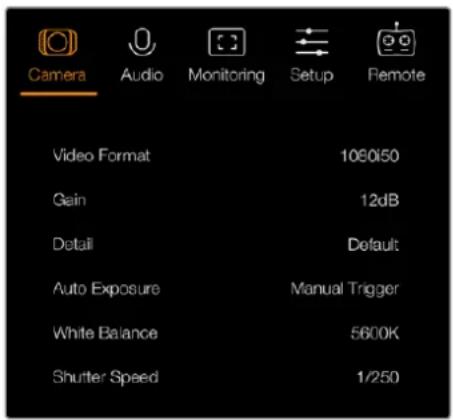 Camera Audio Monitoring Setup Remote Video Format 1080/50 Gain 12dB Detail Default Auto Exposure Manual Trigger White Balance 5600K Shutter Speed 1/250