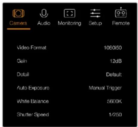 Camera Audio Monitoring Setup Remote Video Format 106050 Gain 12dB Detail Default Auto Exposure Manual Trigger White Balance 5600K Shutter Speed 1/250