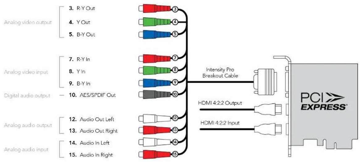 Blackmagic Design Intensity Shuttle - Welcome - 1