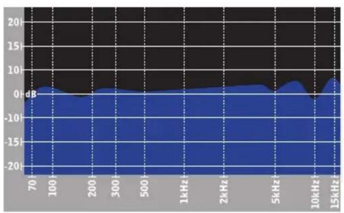 Blue enCORE 300 - FREQUENCY RESPONSE & POLAR PATTERNS - 1