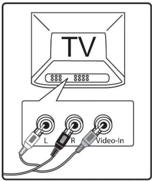TV L R Video-In