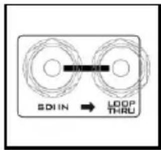 SDIN → LOOP THRU