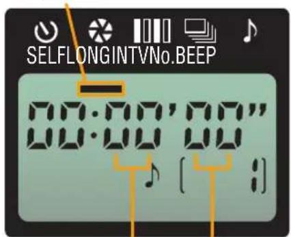SELFLONGINTVNo.BEEP 00:00'00"