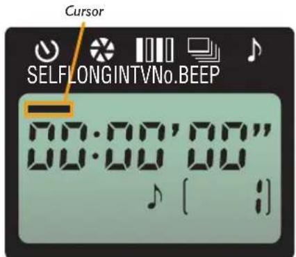 Cursor SELFLONGINTVNo.BEEP 00:00'00" 00:00'00"