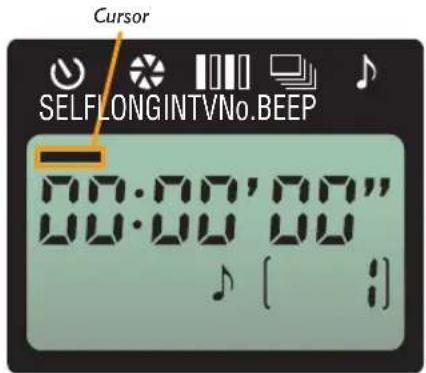 Cursor SELFLONGINTVNo.BEEP 00:00'00" 00:00'00"
