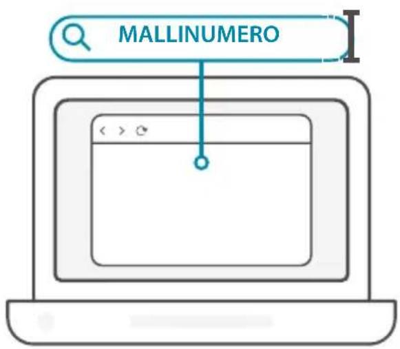 MALLINUMERO