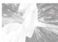 PANASONIC EW1513 - ▶ Cura delle gengive - 1