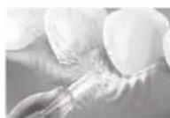 PANASONIC EW1513 - ▶ Cura delle gengive - 3